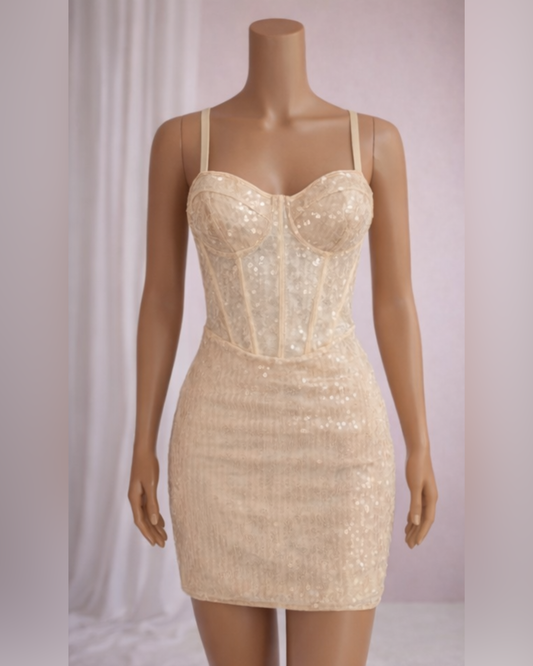 Champagne Sequin Dress