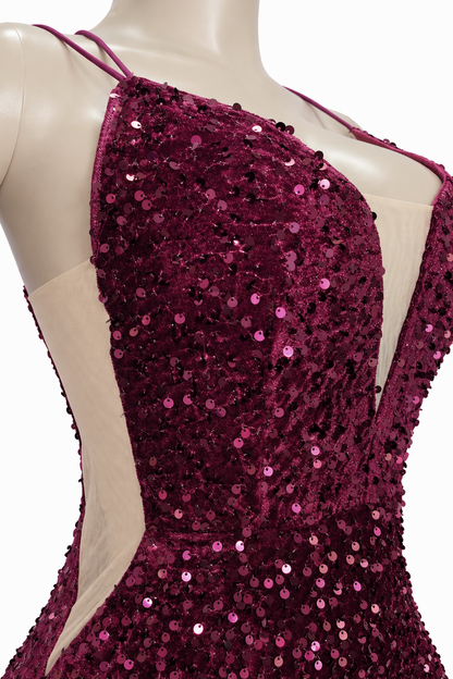 Sparkly Wine Dress