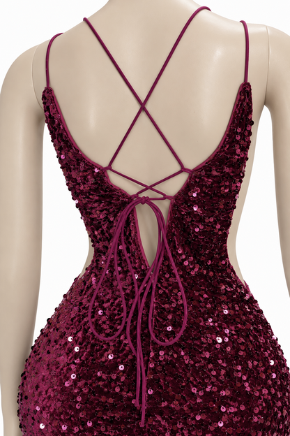 Sparkly Wine Dress
